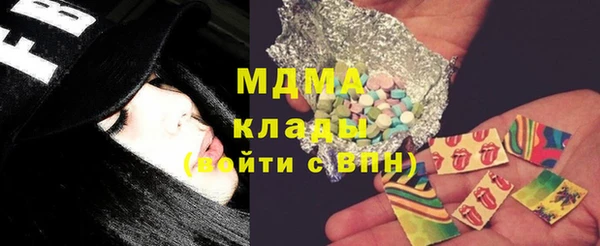 индика Гусь-Хрустальный