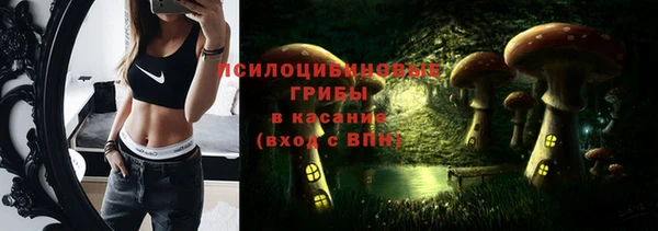 индика Гусь-Хрустальный