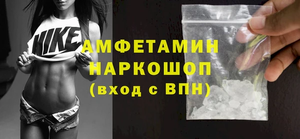 индика Гусь-Хрустальный