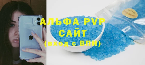индика Гусь-Хрустальный