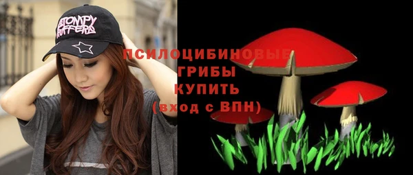 бутират Гусиноозёрск