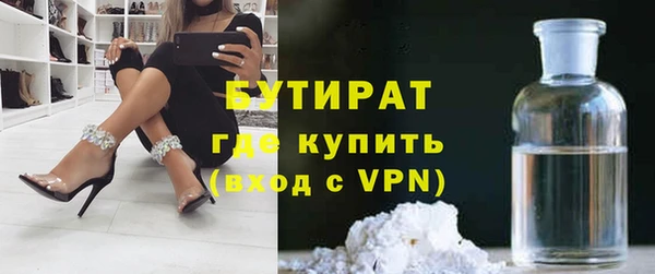 сатива Гусев