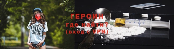 индика Гусь-Хрустальный