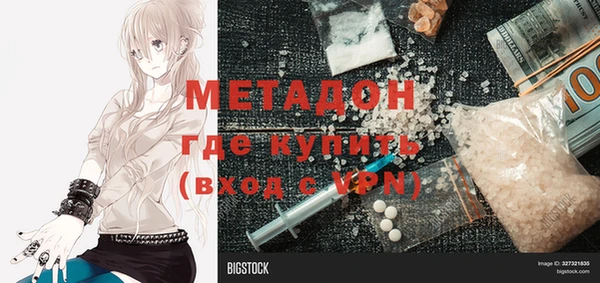 индика Гусь-Хрустальный