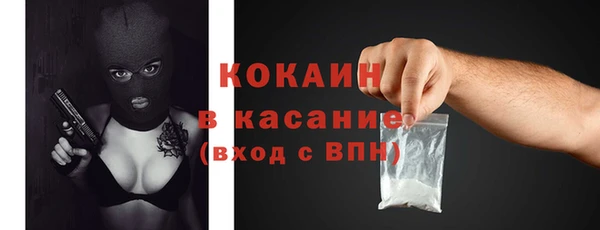 индика Гусь-Хрустальный