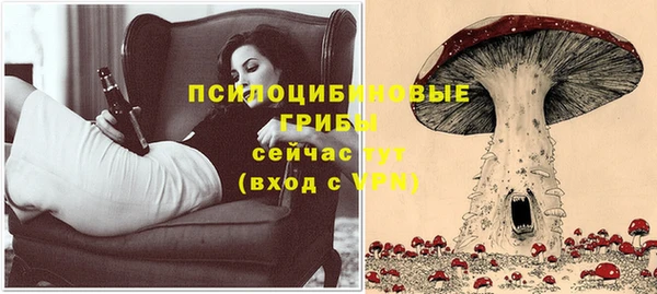 индика Гусь-Хрустальный