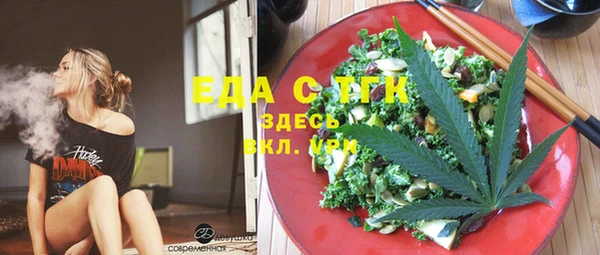 индика Гусь-Хрустальный