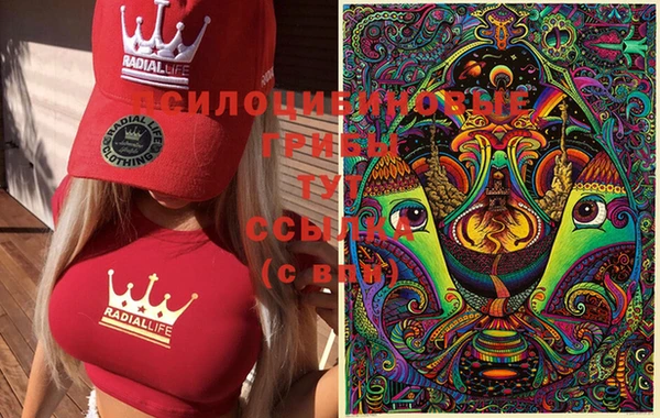 индика Гусь-Хрустальный