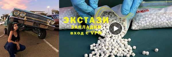 индика Гусь-Хрустальный