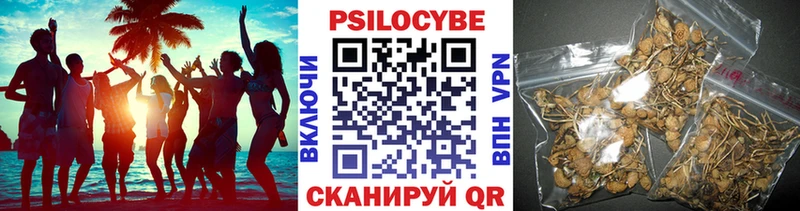 Псилоцибиновые грибы MAGIC MUSHROOMS  где купить наркотик  Минеральные Воды 