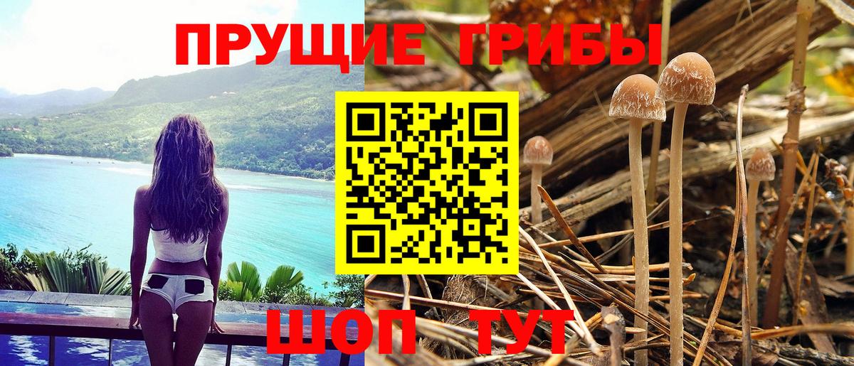 Галлюциногенные грибы мухоморы  Минеральные Воды 