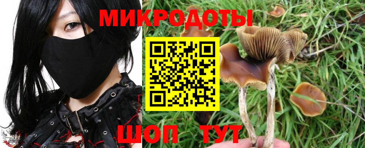 Галлюциногенные грибы прущие грибы  закладки  Минеральные Воды  Вход с VPN 